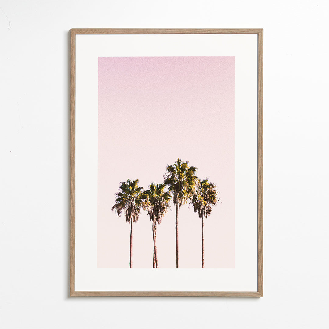 Palm trees and sky