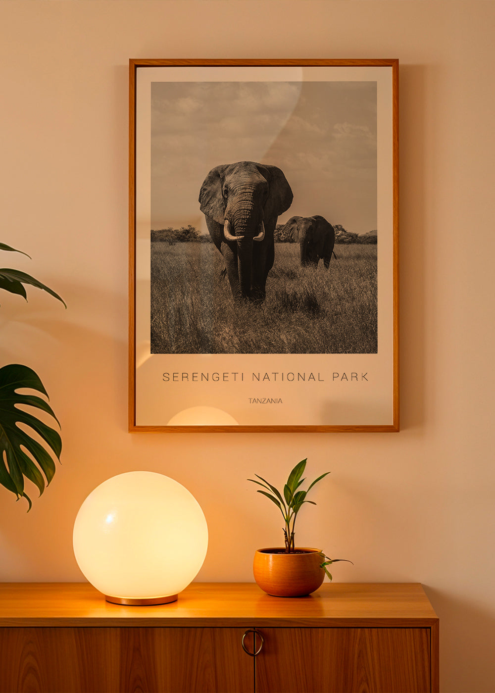 Elephants in Serengeti