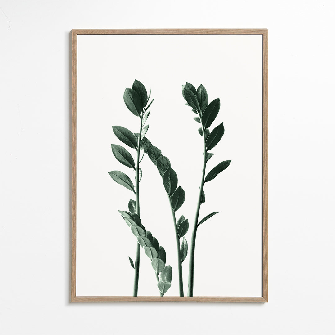 Two plants
