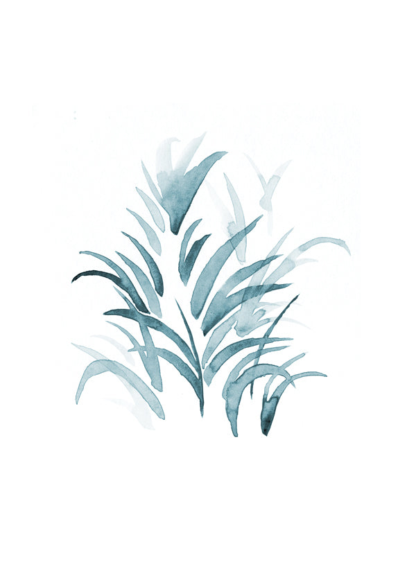 Cadet Blue Kentia