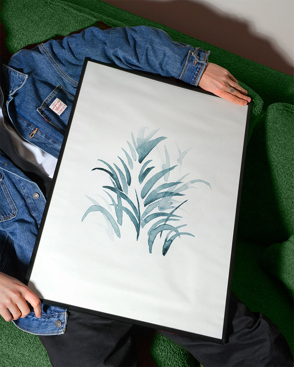 Cadet Blue Kentia