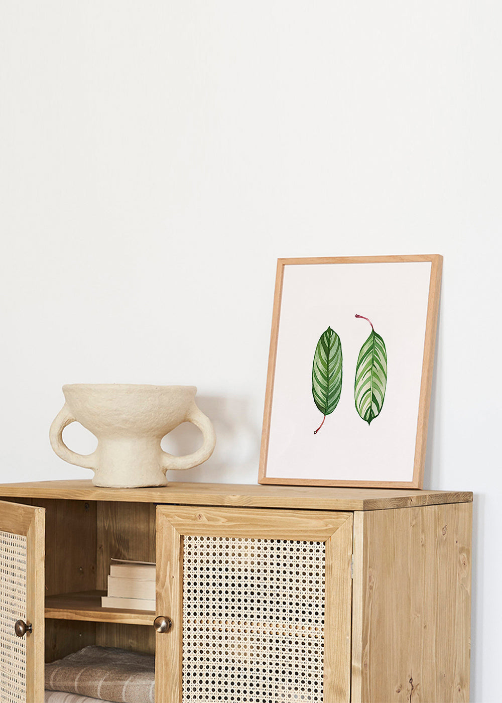 Calathea leaves