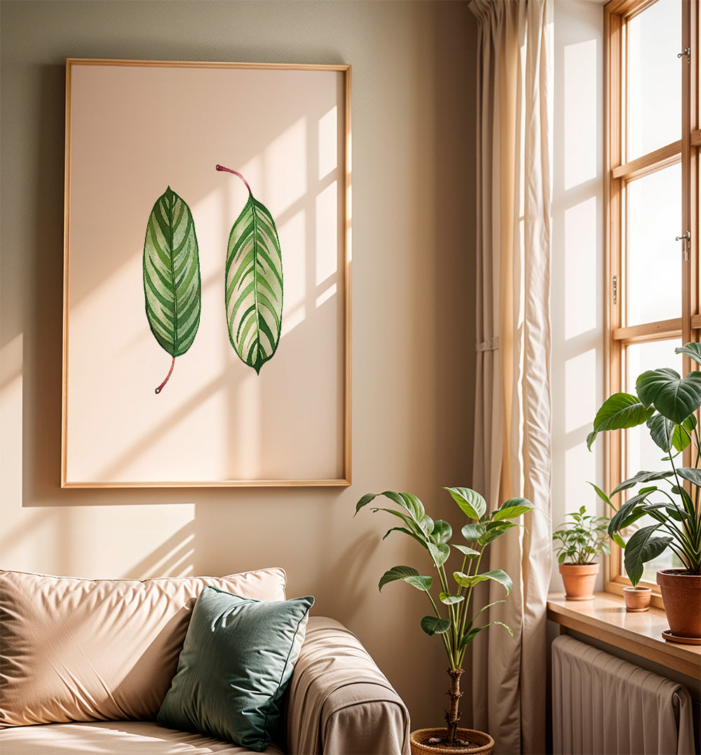 Calathea leaves