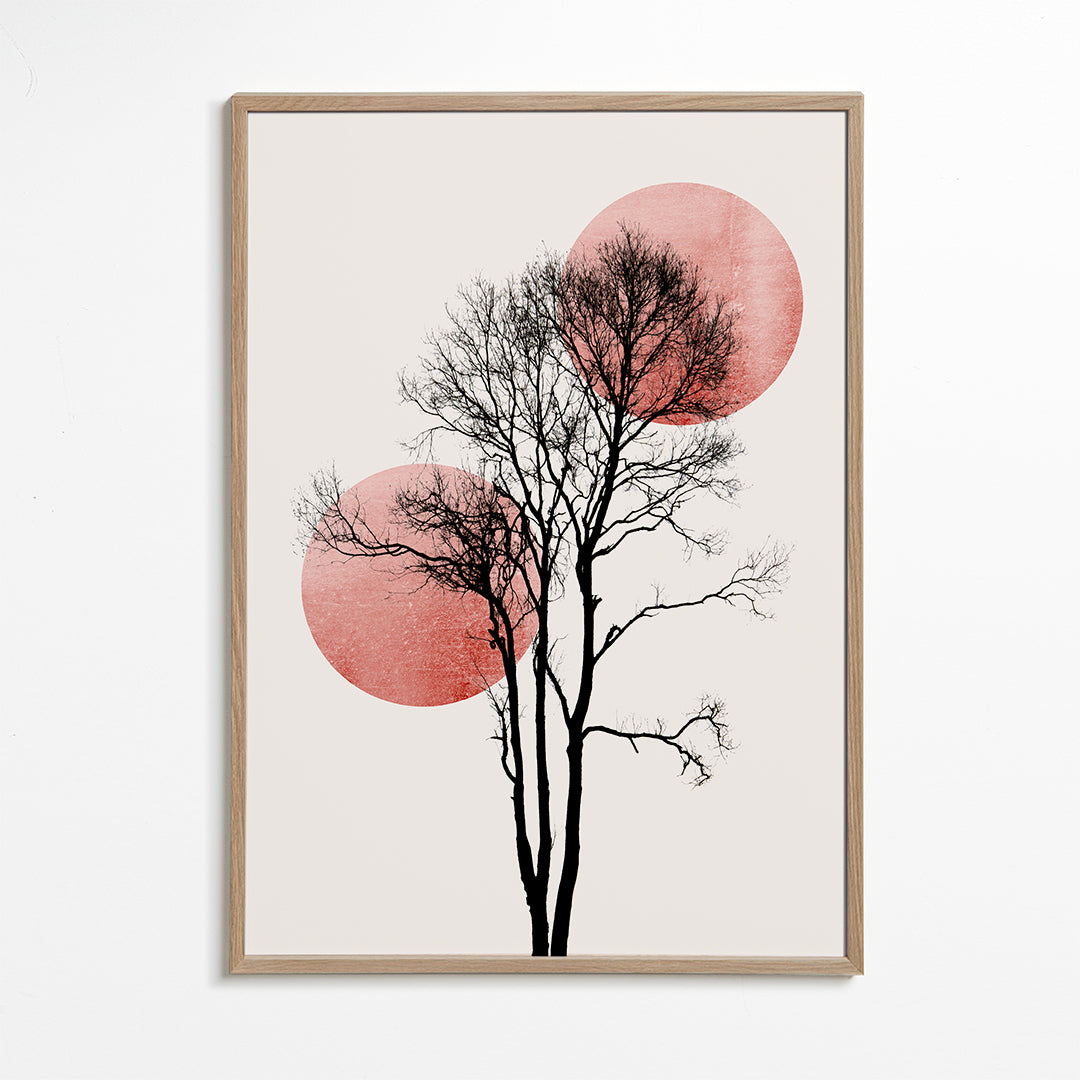 Sun and moon hiding - ros��