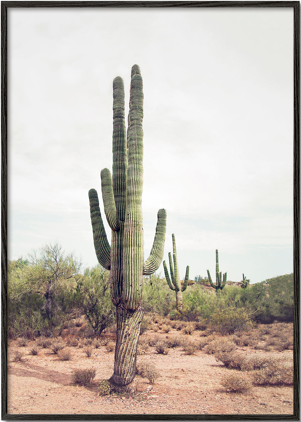 Botanical print: desert cactus portrait