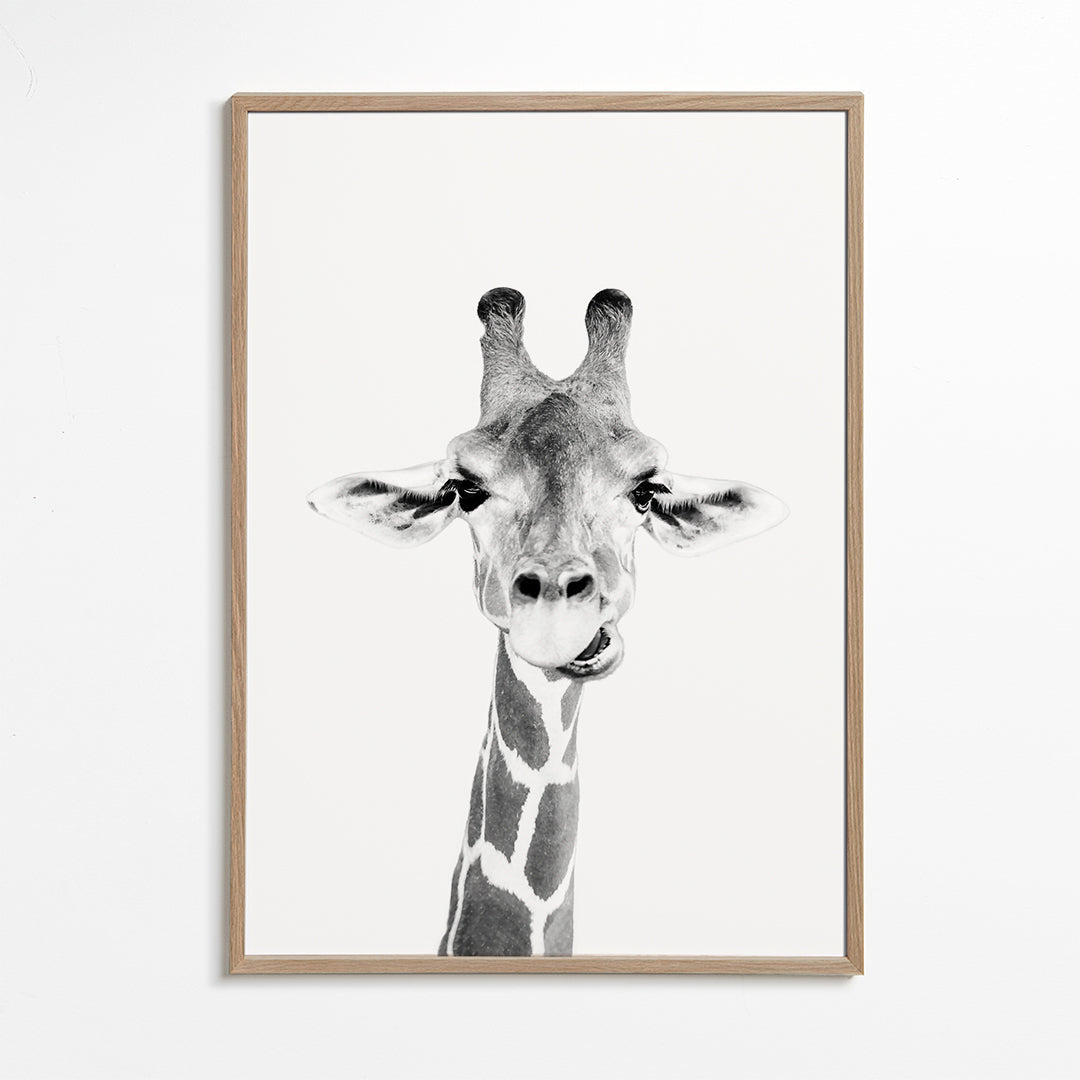 Baby giraffe
