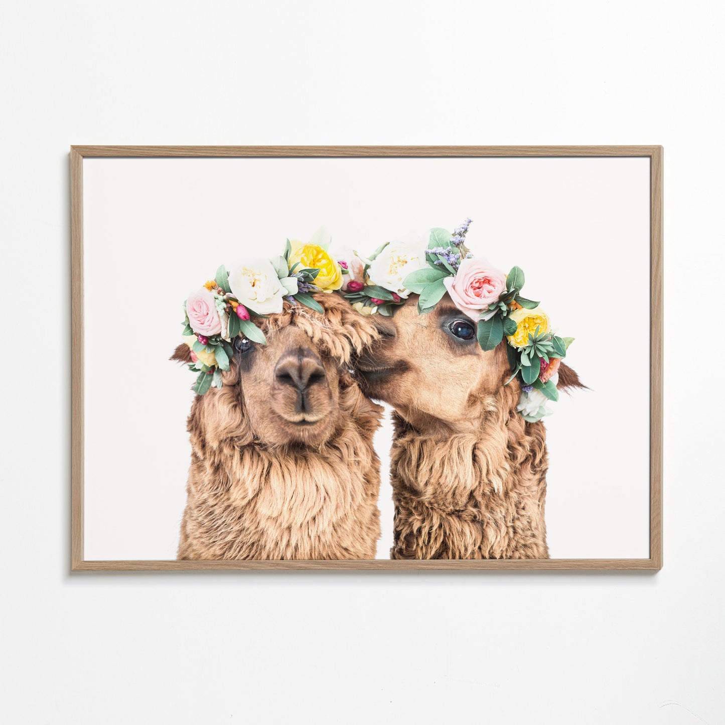 Boho Llamas