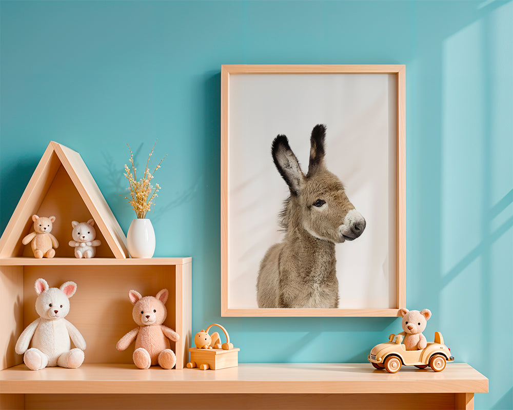 Baby Donkey