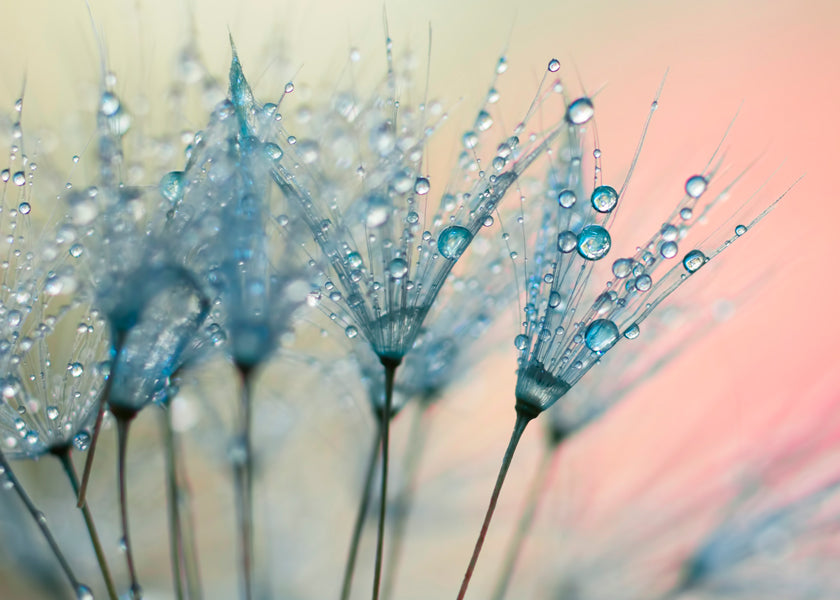 Summer rain