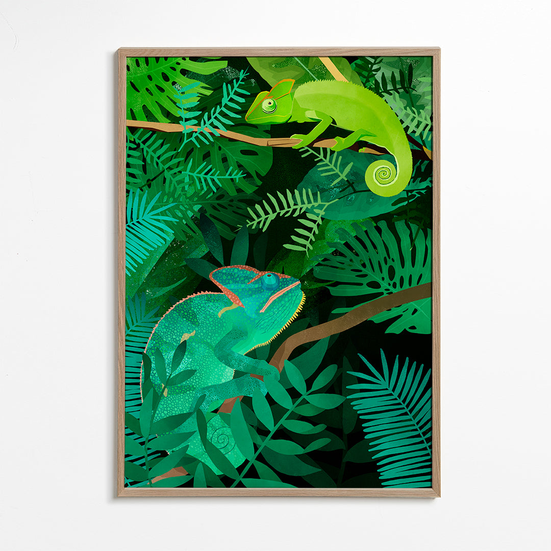 Chameleons