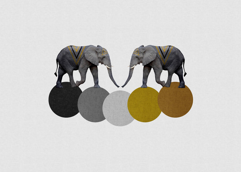 Tribal elephants