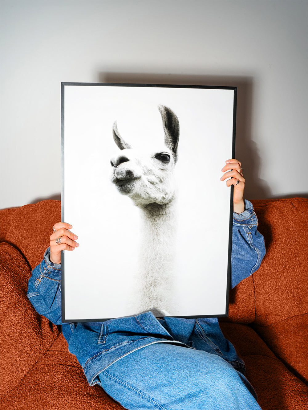 Llama II 2