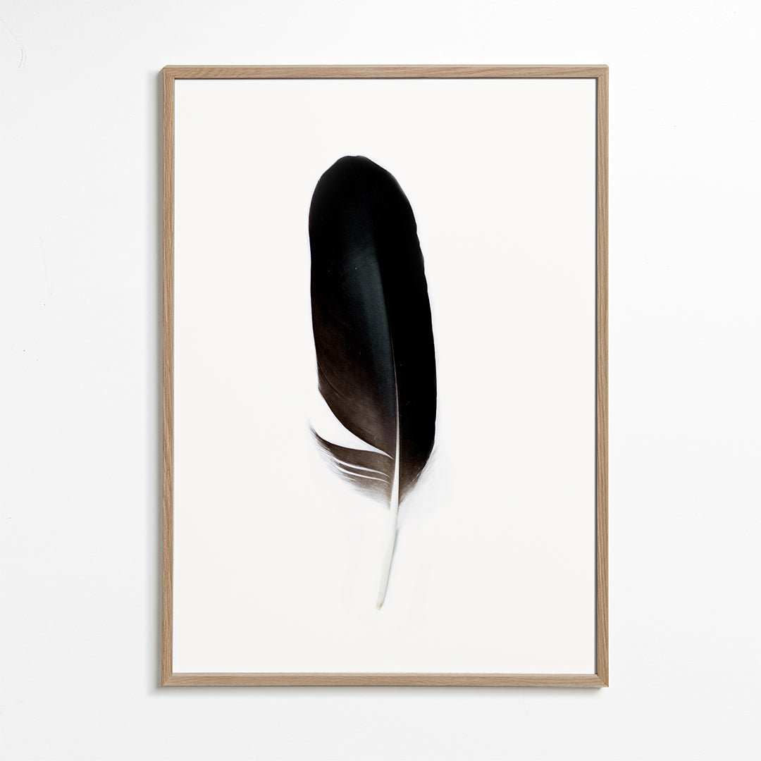 Spirit II 2