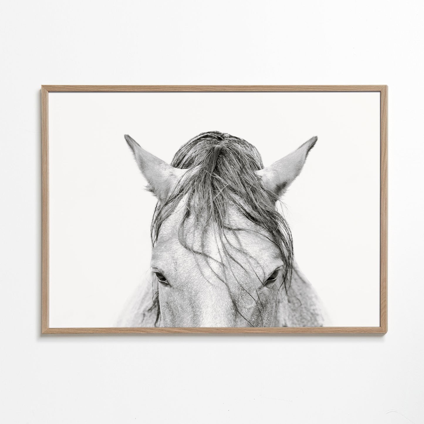 Horses Head 2