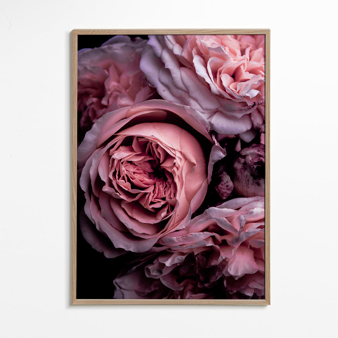 Vintage Pink 2