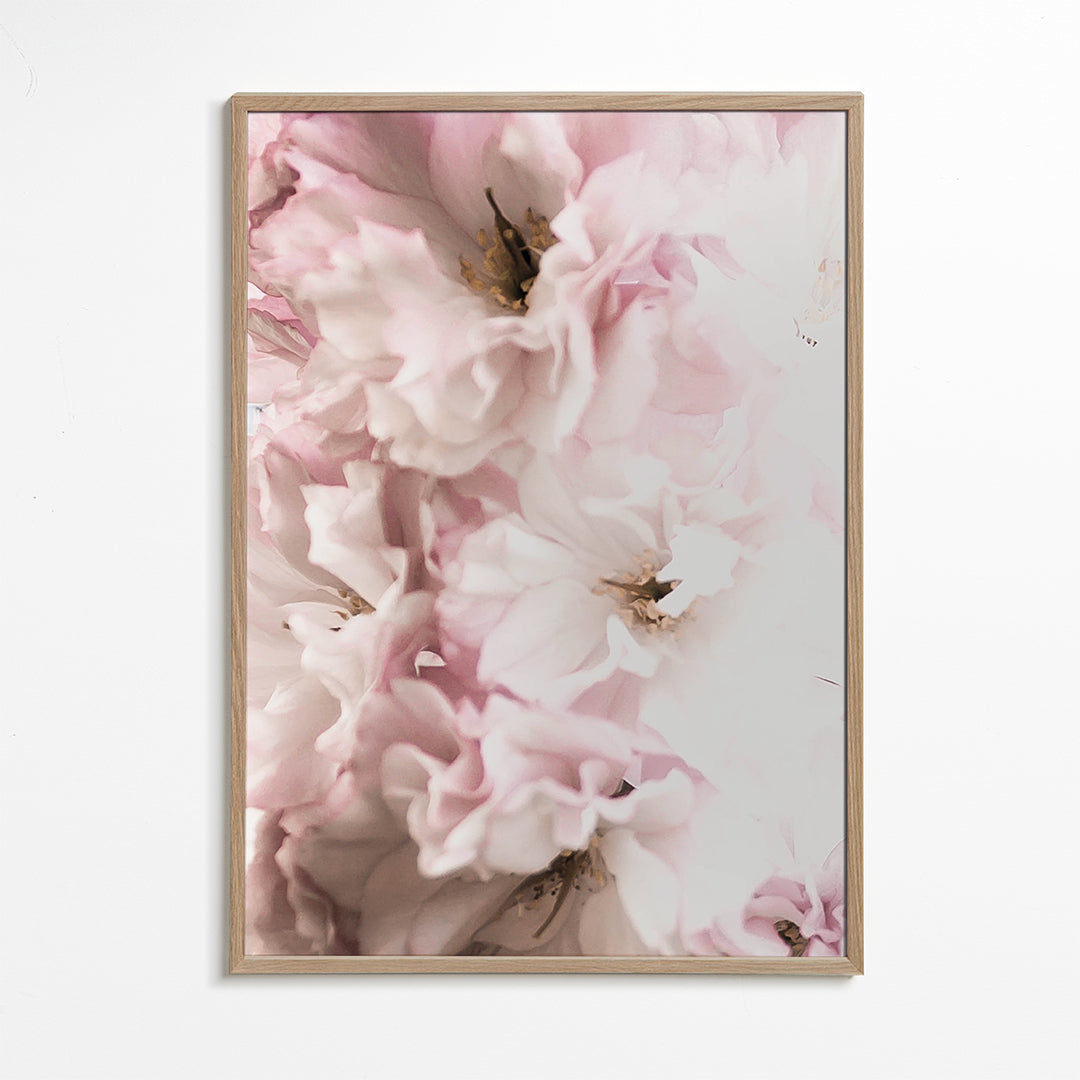 Pink Flowers 2