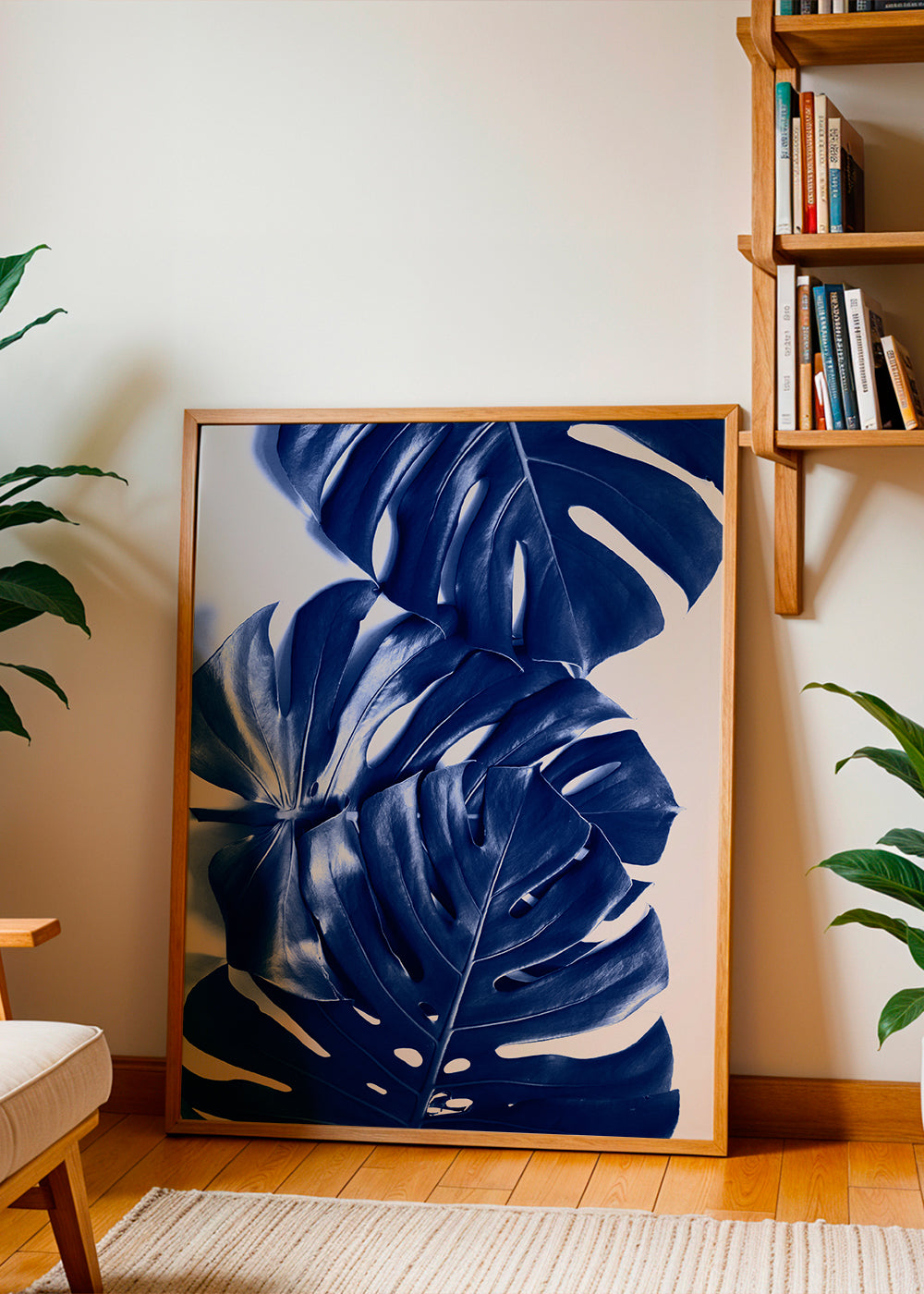 Monstera Blue