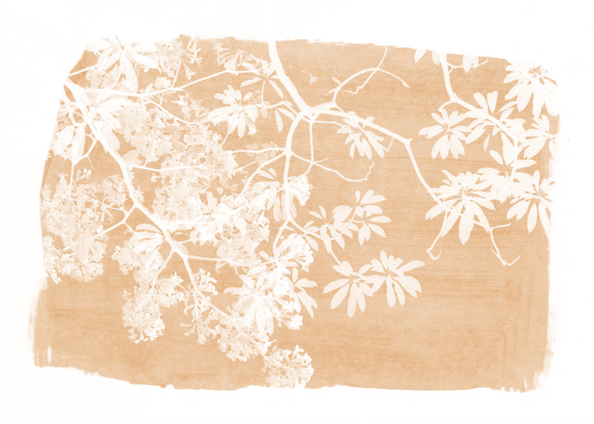 Tree foliage on orange paint