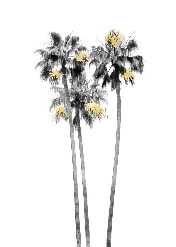 Palm Tree Black, White and Gold 03