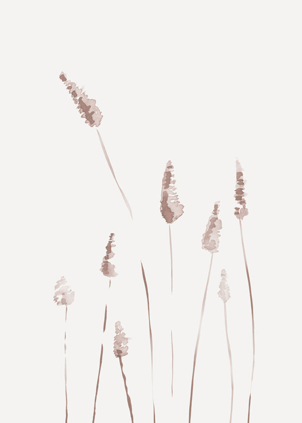 Botanicals 6