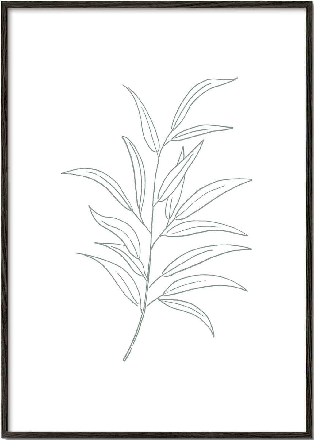 Botanicals 11