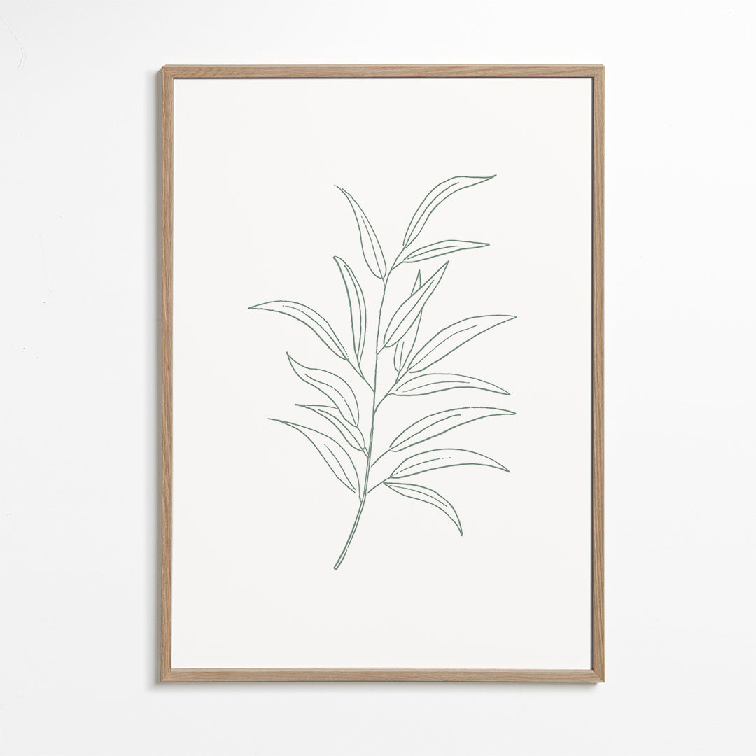 Botanicals 11