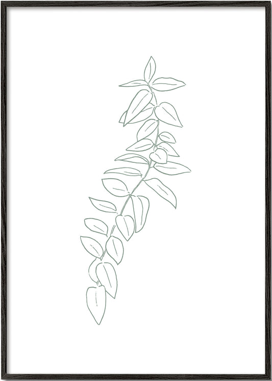 Botanicals 18