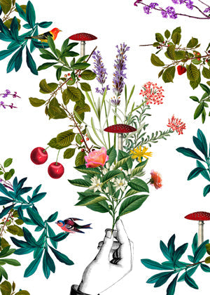 Botanical White
