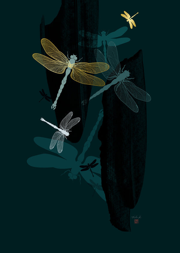 Midnight Dragonflies