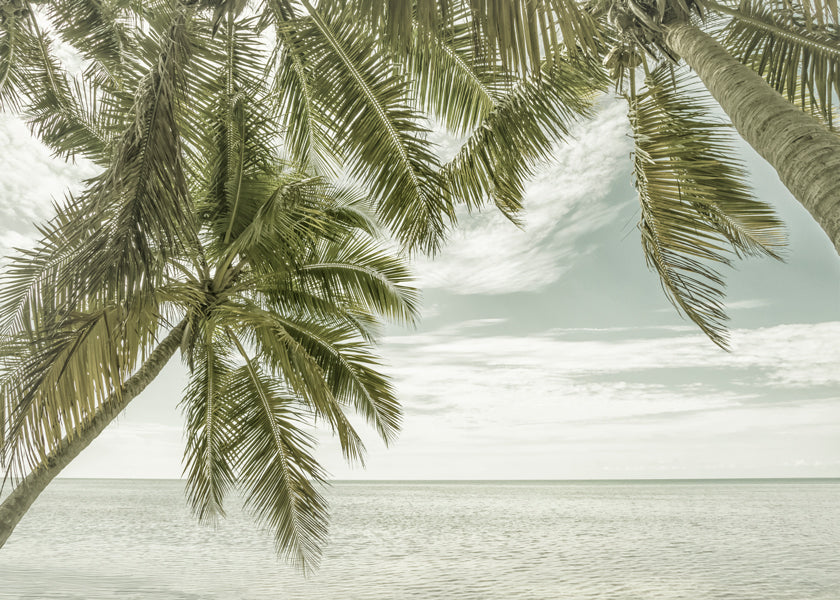 FLORIDA Vintage Oceanview