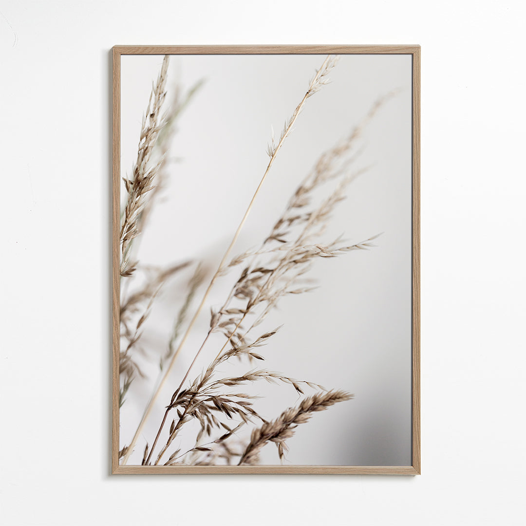 Summer Grass 2
