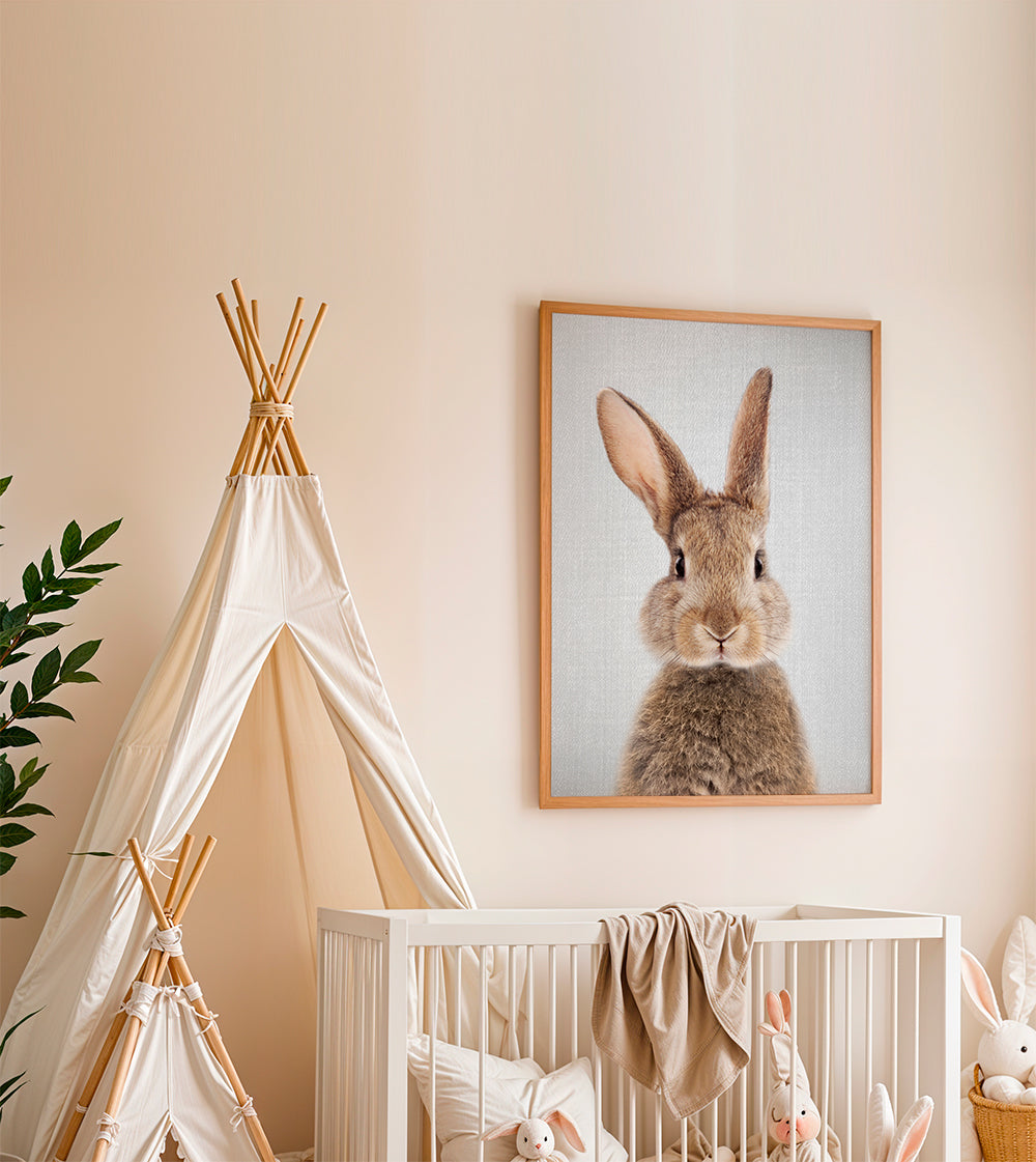 Rabbit