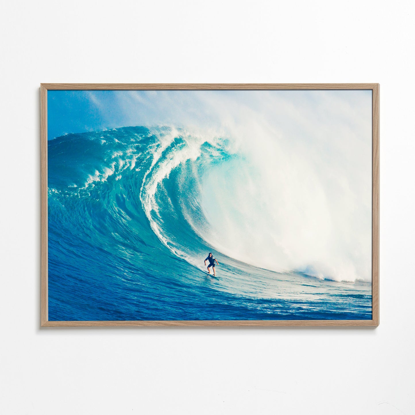 Wild Surf