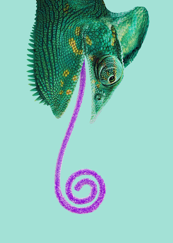 Candy Chamelion