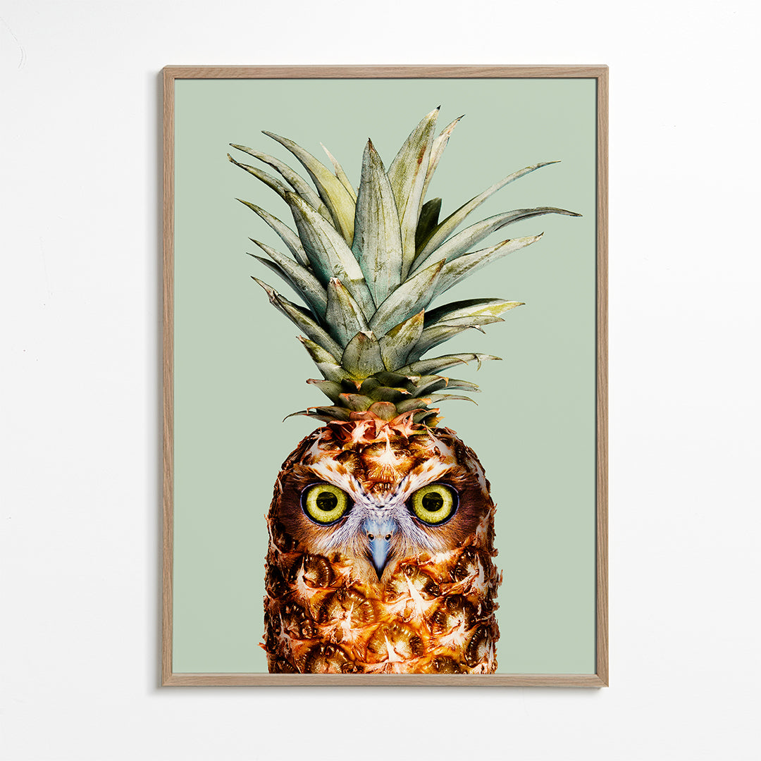 Pineapple Owl