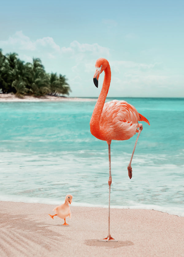 Wannabe Flamingo