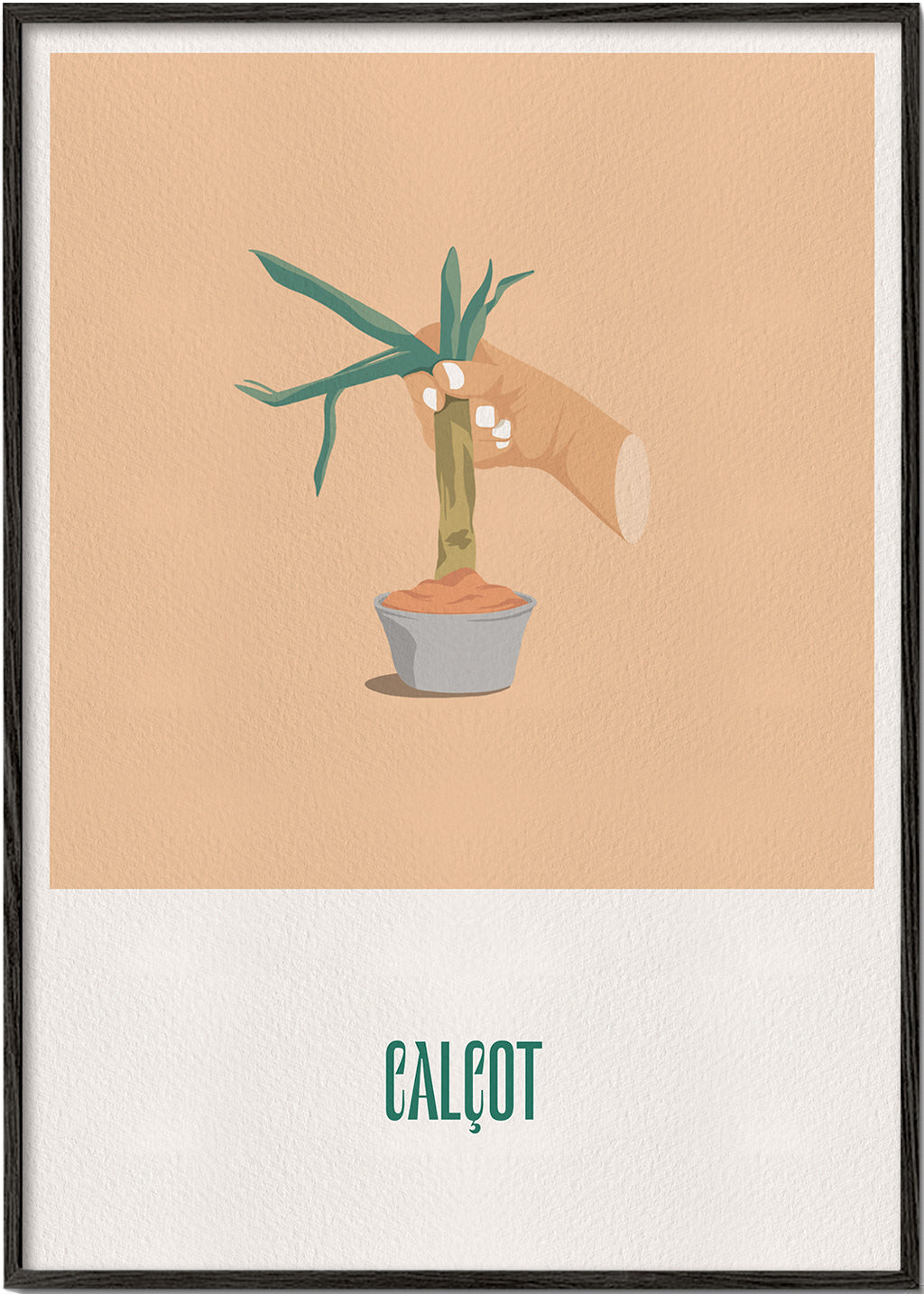 Calçot