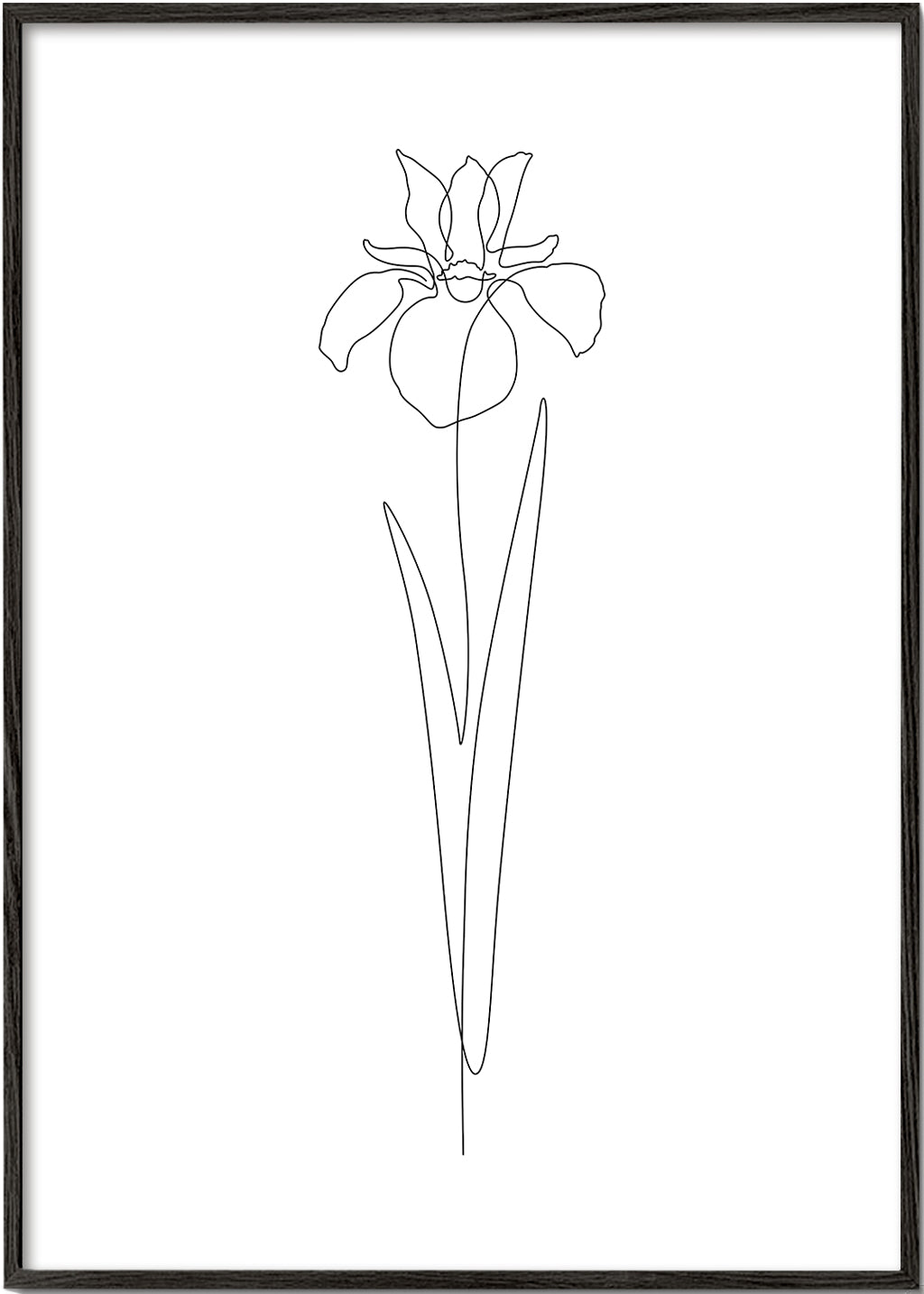 Dear Iris