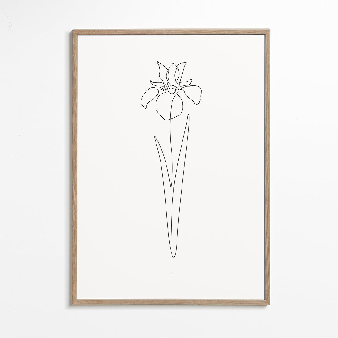 Dear Iris