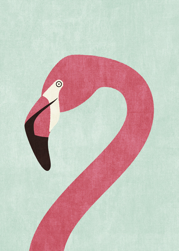 FAUNA / Flamingo