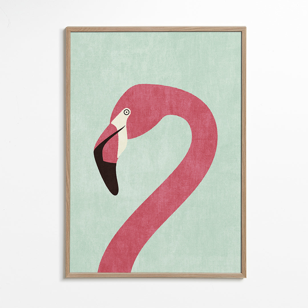 FAUNA / Flamingo