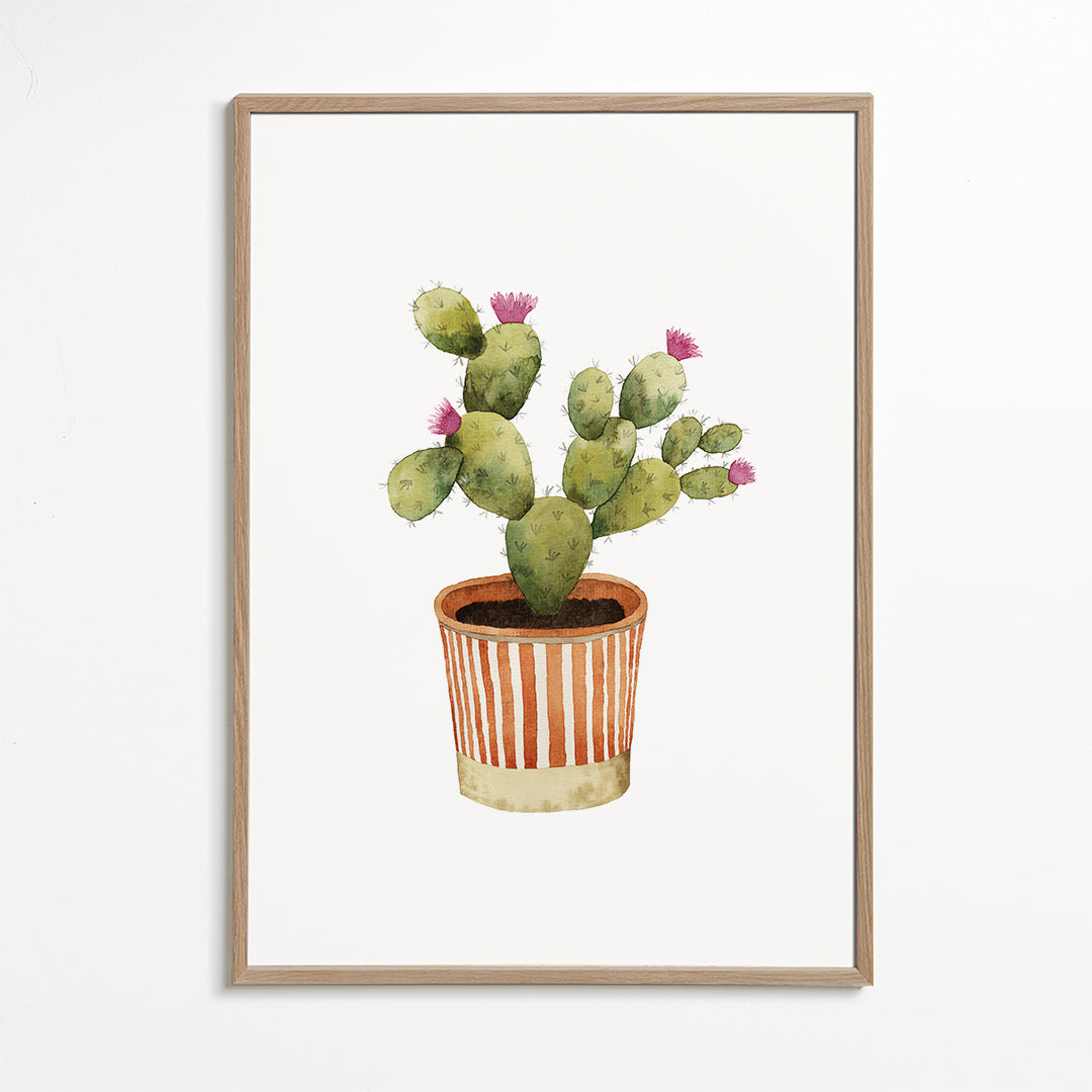 Blooming Potted Cactus