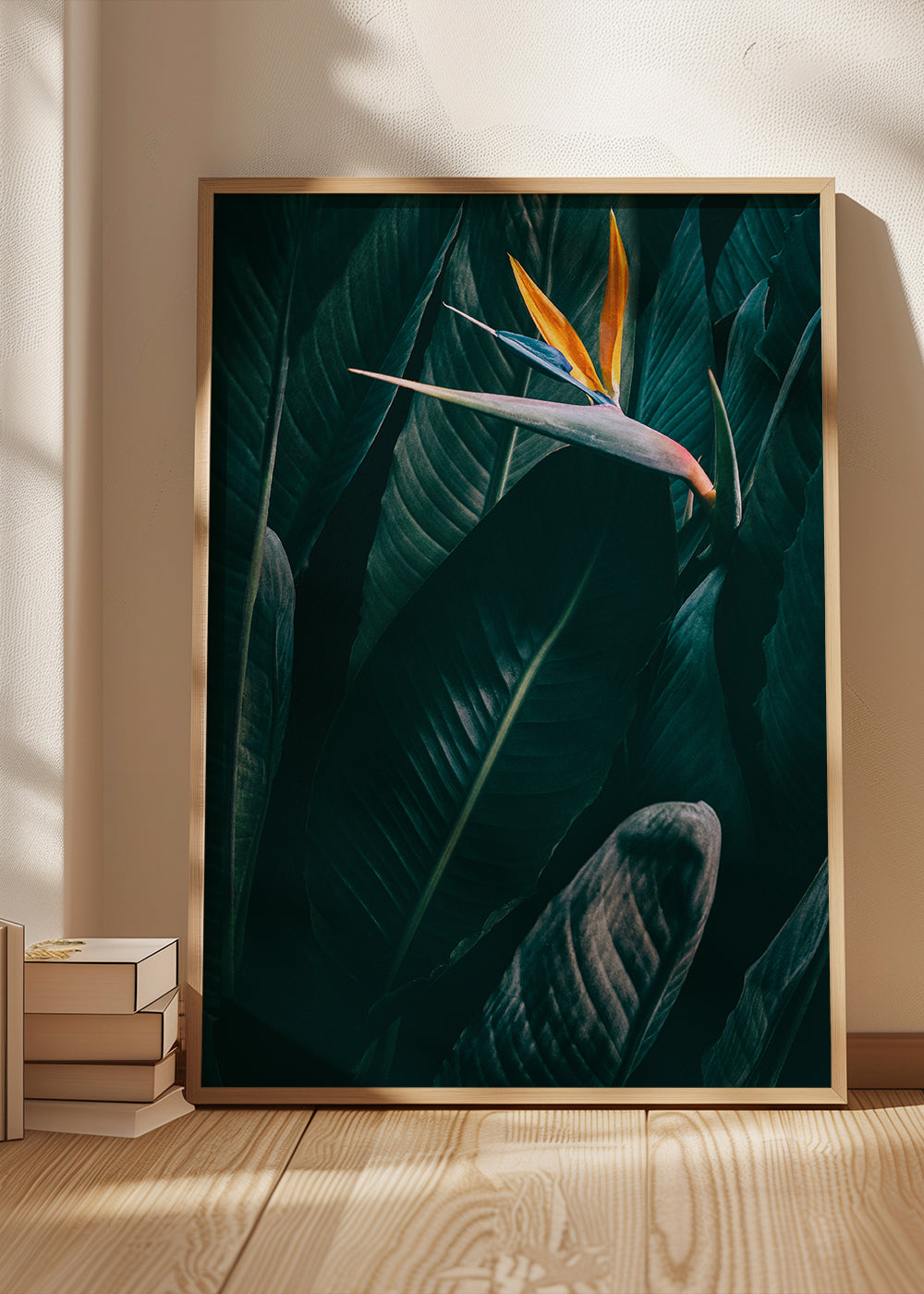 Bird of paradise