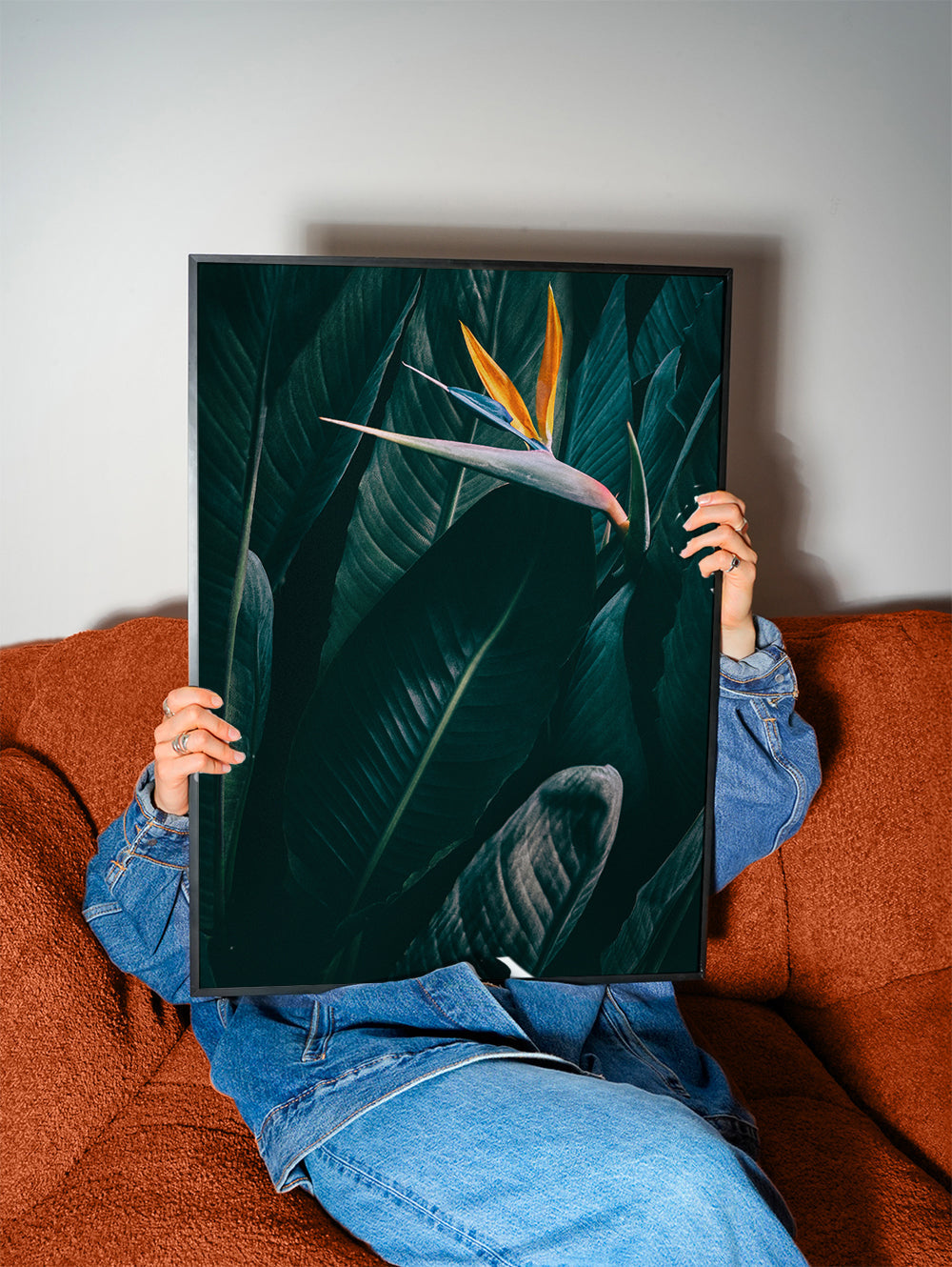 Bird of paradise