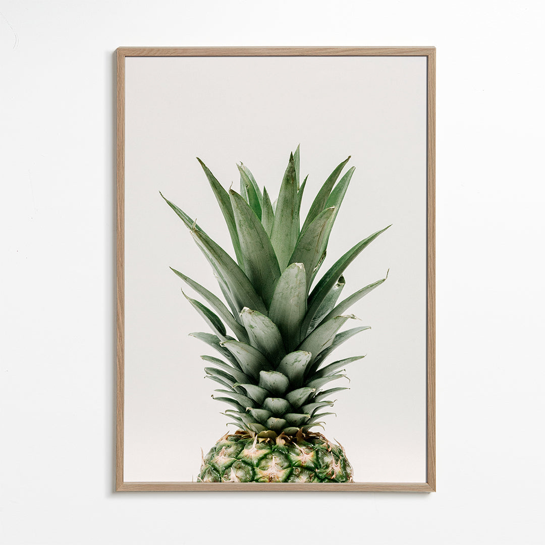 Pineapple Top Print