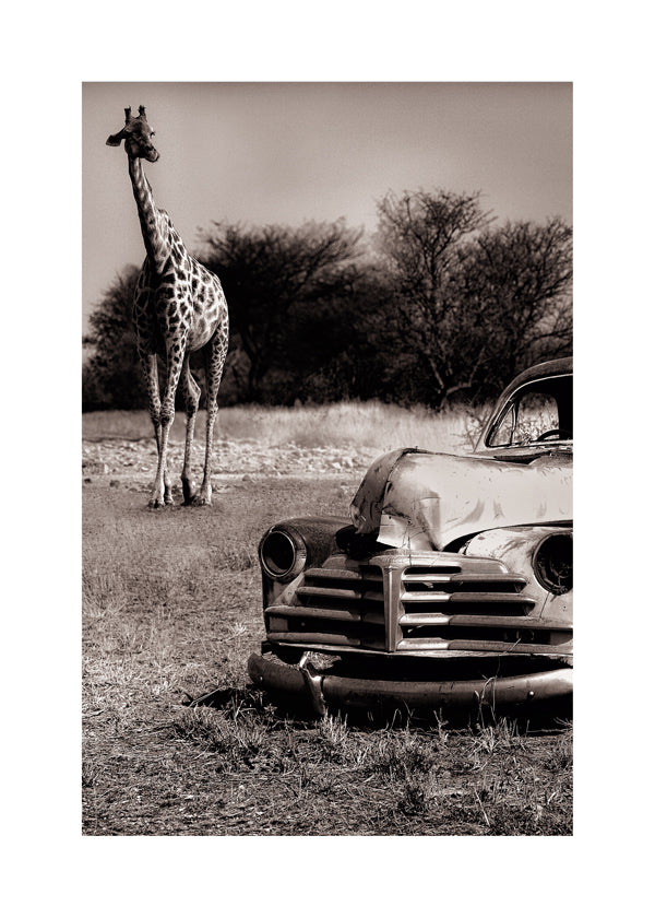 Acquaintance - Marc Apers