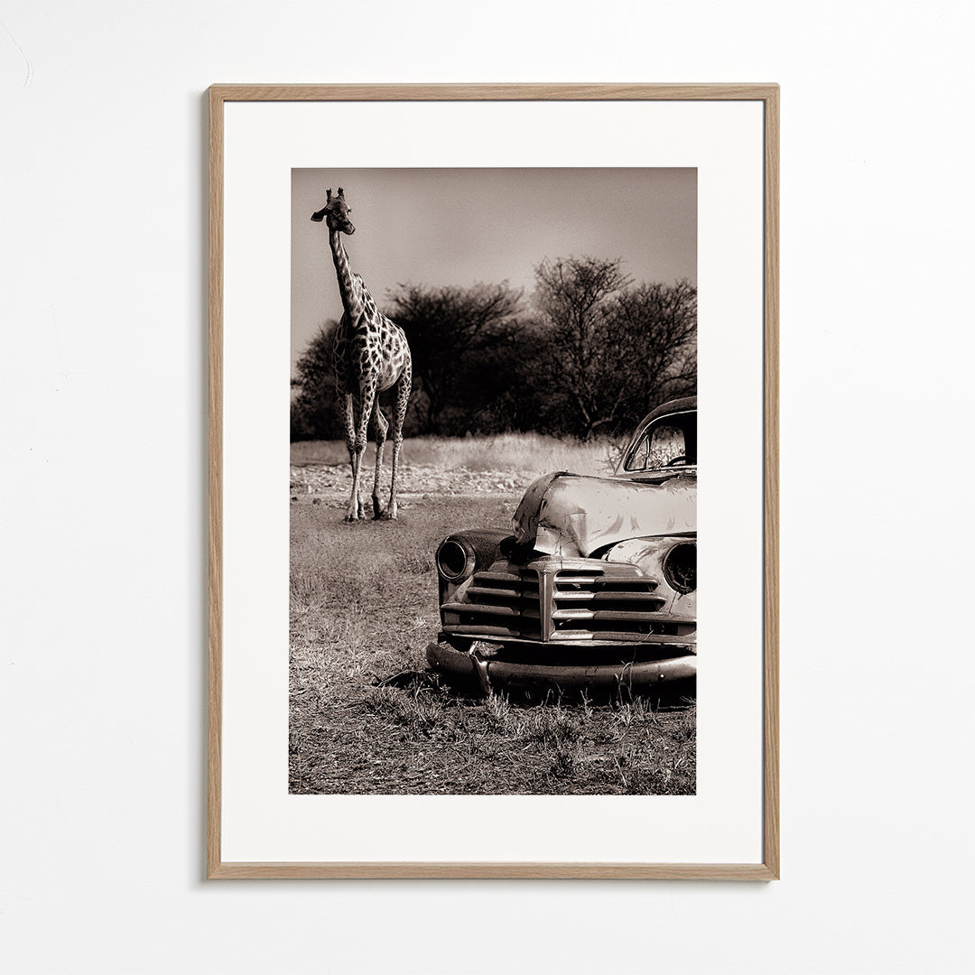 Acquaintance - Marc Apers