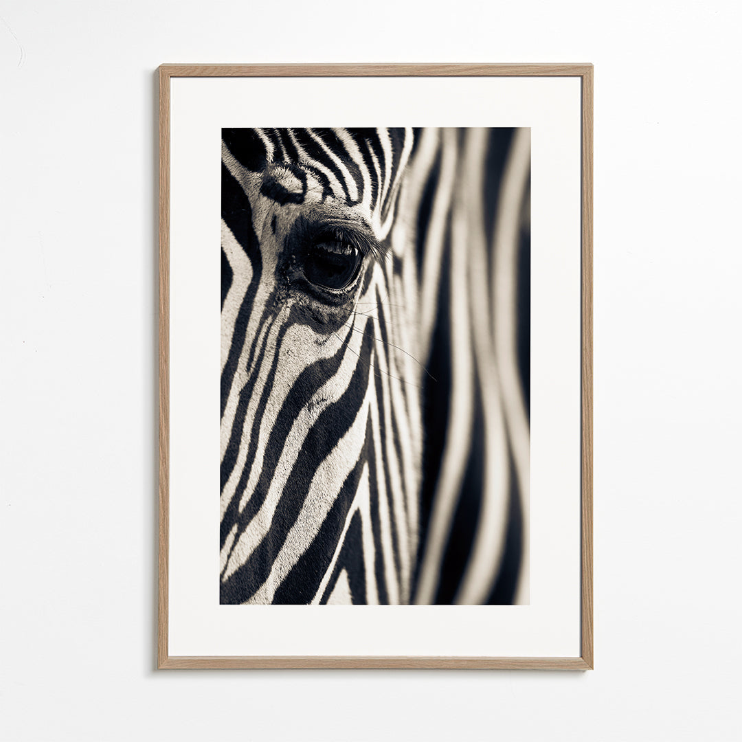 Eye & Stripes - Mario Moreno
