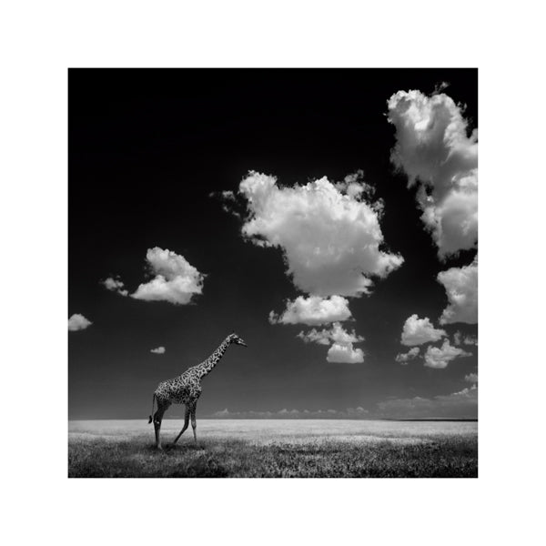 Gone with the Clouds - Alberto Ghizzi Panizza