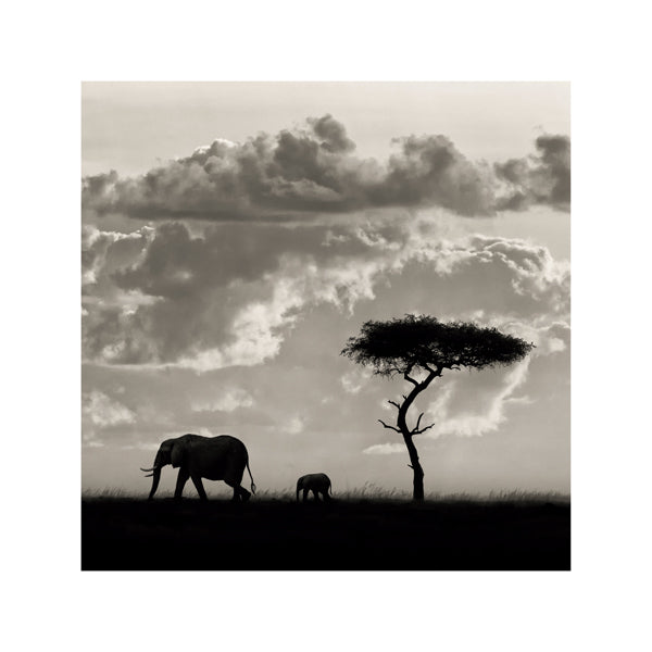 Silhouettes of Mara - Mario Moreno